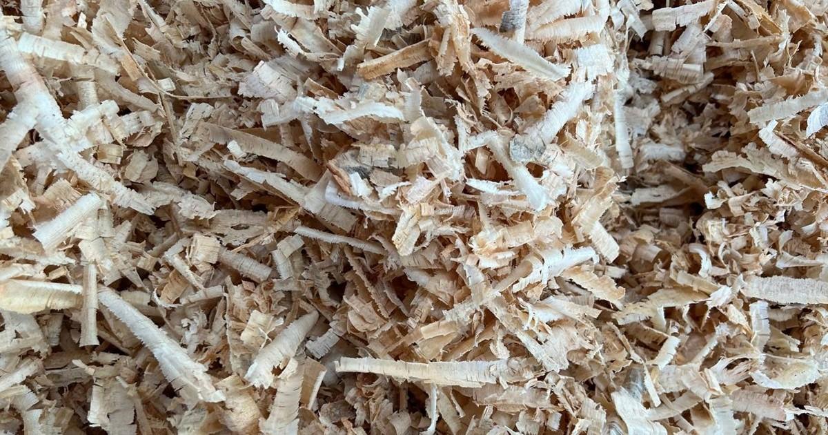 Aserrín de madera para compostaje o usos industriales