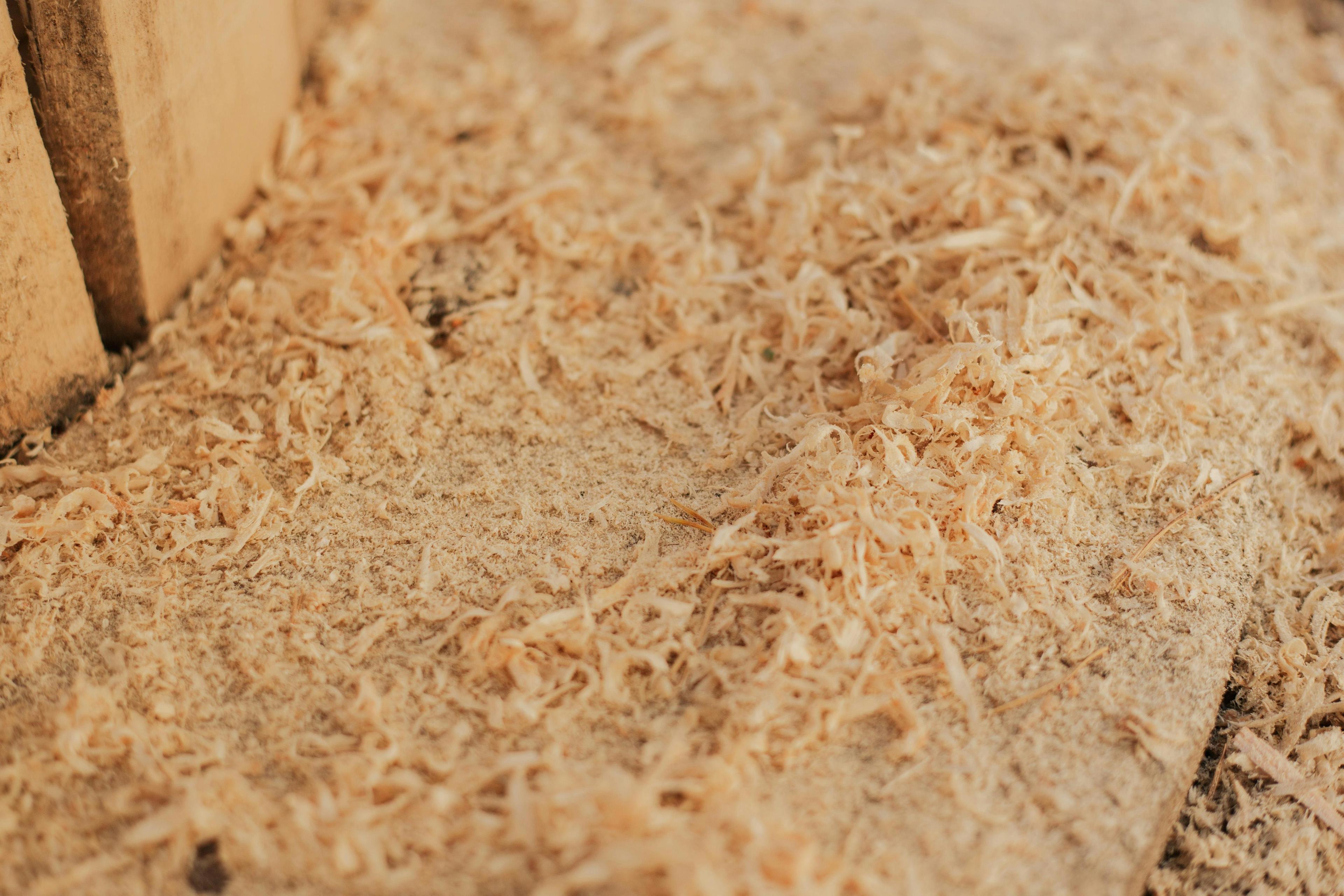 Imagen de Madera Inmunizada - 1