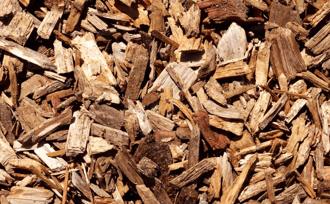 Cascarilla de madera para jardinería o compost