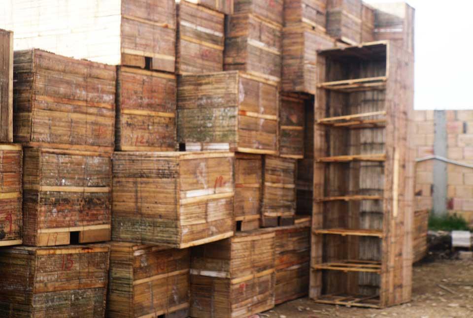 Casetones en guadua para construcción liviana