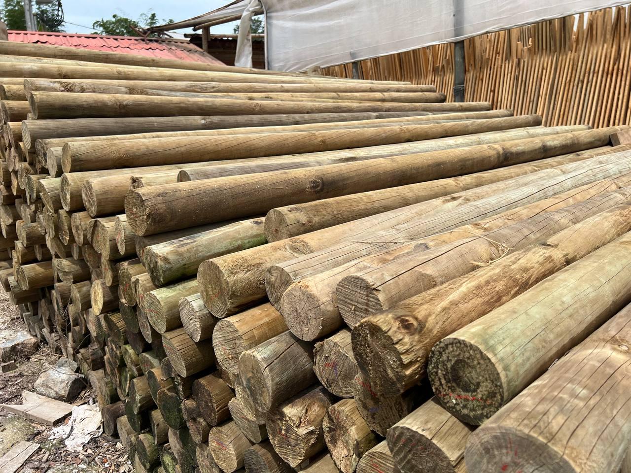 Estacones de madera ideales para cerramientos o construcción