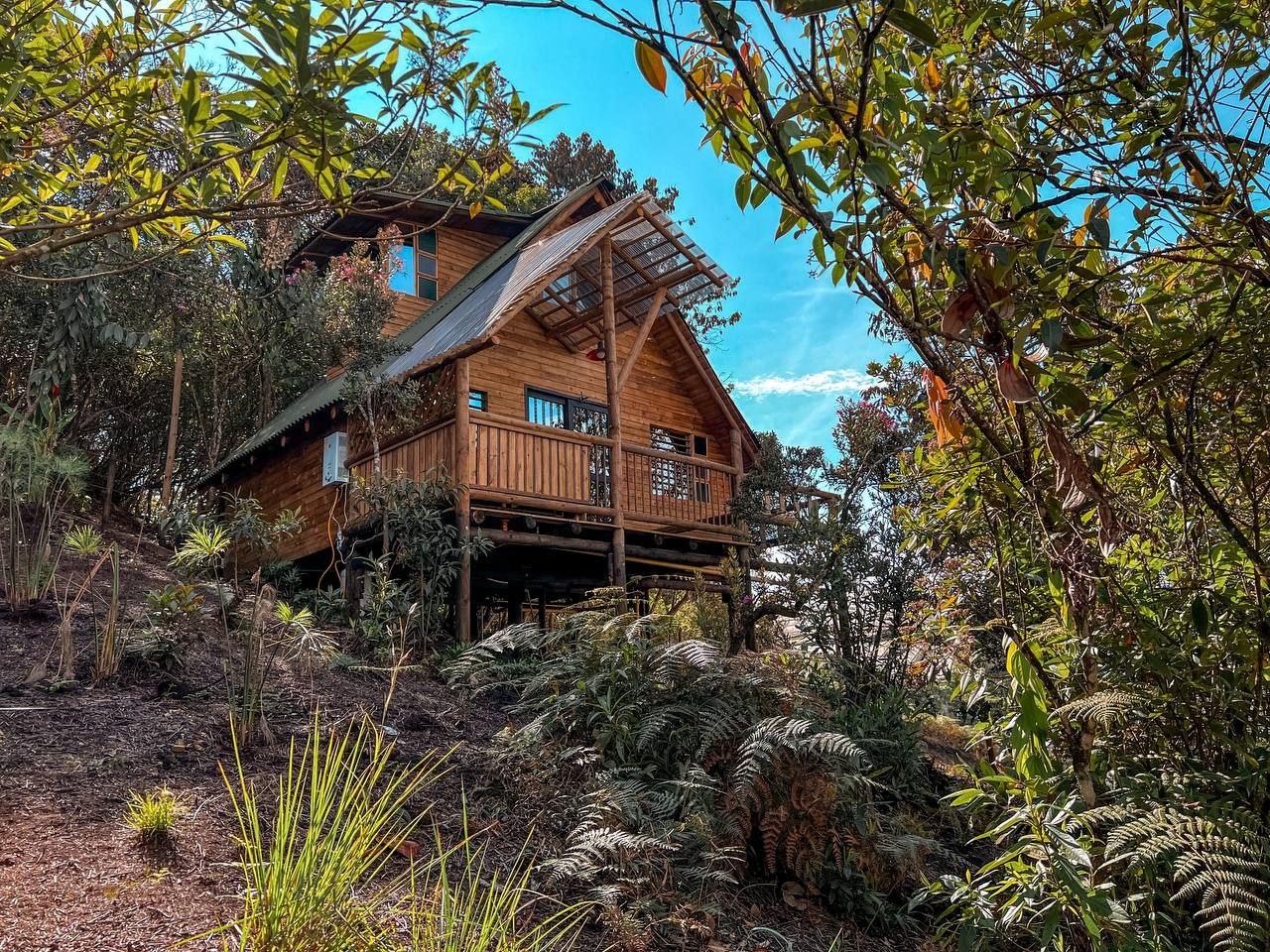 Cabaña de madera tipo glamping rodeada de naturaleza