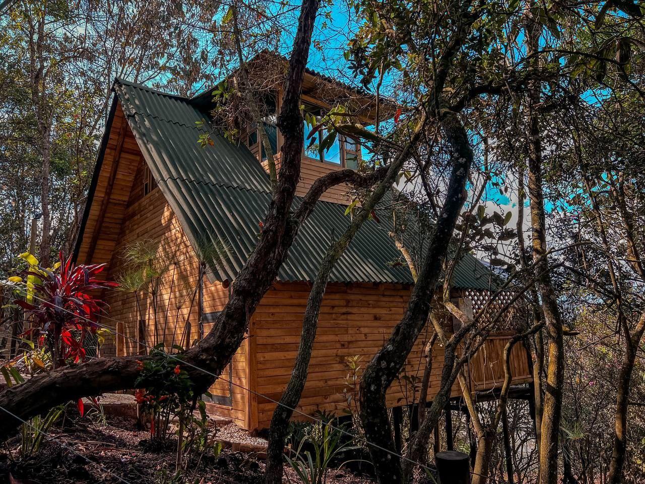 Imagen de Madera Inmunizada - 1